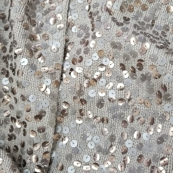 Ann Taylor Wool Angora Cashmere Sequined Cardigan - Picture 6 of 6